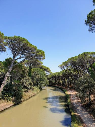 une rivière bordée d'arbres dans l'établissement Studio bateau au Somail, à Saint-Nazaire-dʼAude