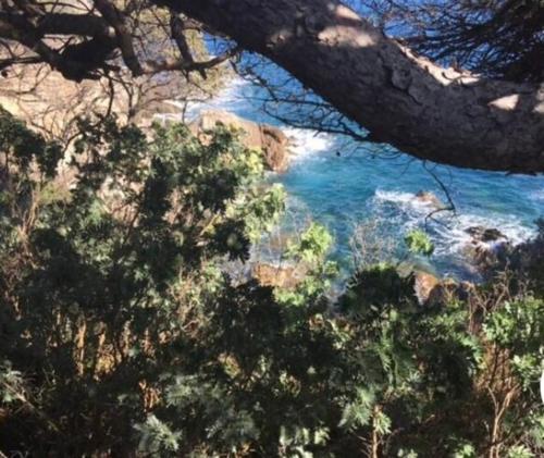 Photo de la galerie de l'établissement Hyères, Presqu'ile de Giens, Joli F3 indépendant, 4 pers, dans villa criques et plages à pied La Polynésie, à Hyères