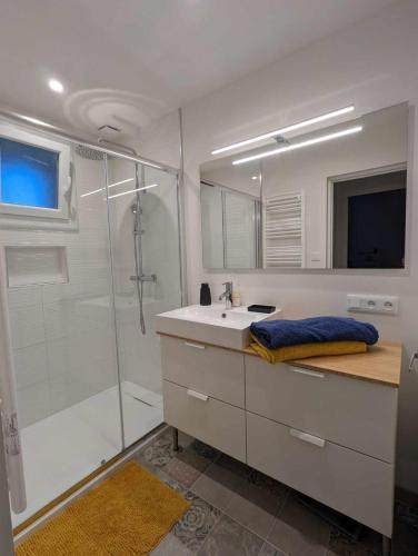 une salle de bain avec une douche, un lavabo et un miroir dans l'établissement Chez Clara et Paul - Centre Ville Narbonne, à Narbonne