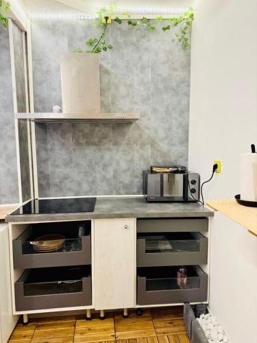 - une cuisine avec un comptoir et un évier dans l'établissement Appartement au cœur de Béziers, à Béziers