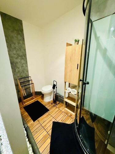 La salle de bains est pourvue de toilettes et d'une cabine de douche en verre. dans l'établissement Appartement au cœur de Béziers, à Béziers