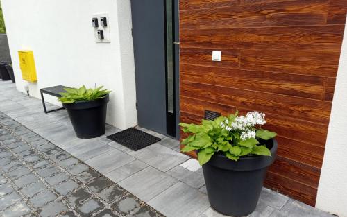 two potted plants sitting outside of a door at Poziom -1 in Sandomierz