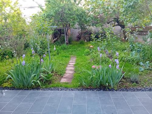 a garden with purple flowers and a path at Maison Alfred in Brive-la-Gaillarde
