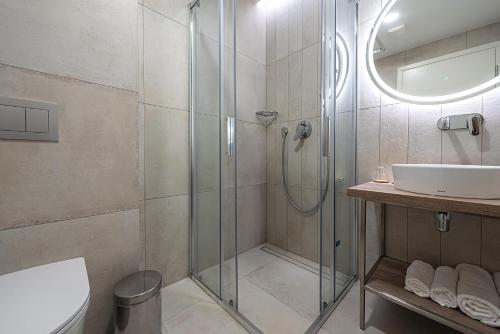 a bathroom with a glass shower and a sink at Nykščio Namai & SPA in Anykščiai