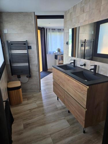 une salle de bain avec un lavabo et un miroir dans l'établissement studio de charme, à Montbazin