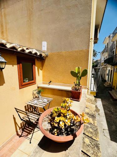 a patio with a potted plant and a table and chairs at RiccioDiMare in Donnalucata