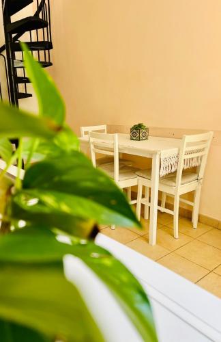 a table and chairs in a room with a plant at RiccioDiMare in Donnalucata