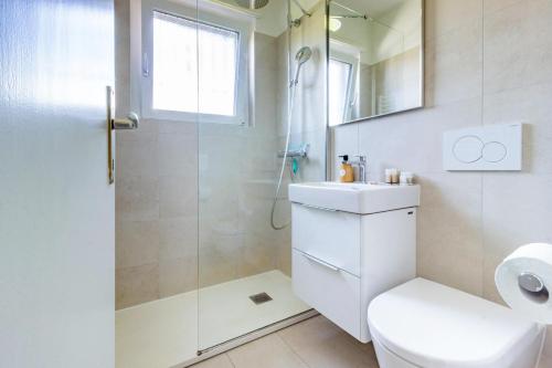 a bathroom with a shower and a toilet and a sink at Oasi del Ticino in Magliaso