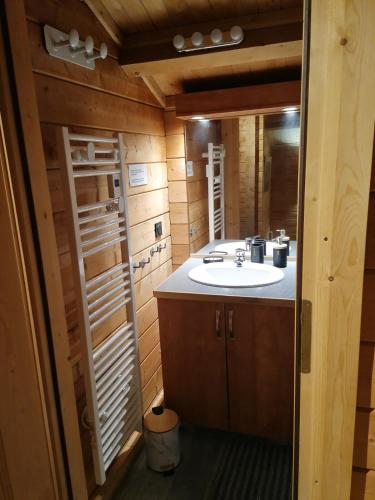 une salle de bain avec un lavabo et un miroir dans l'établissement Châlet CARIBOU 74 avec Piscine Chauffée, à Morillon