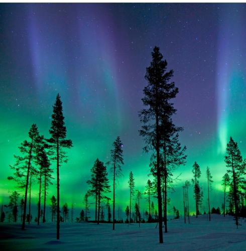 an aurora over a snowy field with trees and a group of poles at SKOG - Aurora Igloos Resort in Kalix
