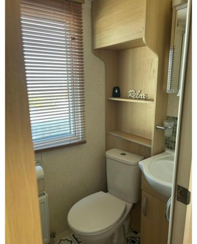 a small bathroom with a toilet and a sink at 15 Ivy Close, 3 Bedroom Caravan, Pet Friendly in Budleigh Salterton