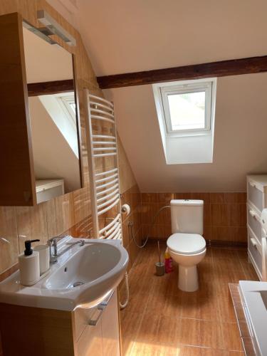 a bathroom with a sink and a toilet with a window at Penzion Agape in Luhačovice