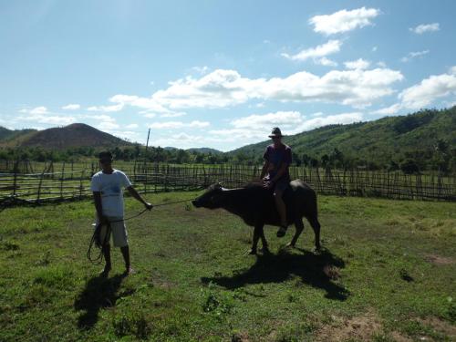 a man leading a man on a horse and a man holding a cow at The Riverhouse in Coron