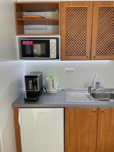 a kitchen counter with a microwave and a sink at Penzion Agape in Luhačovice