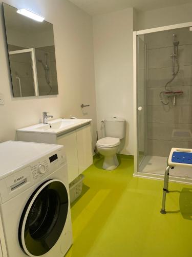 une salle de bain avec une machine à laver et un lavabo dans l'établissement Les gites du champ des oiseaux, à Saint-Amand-les-Eaux
