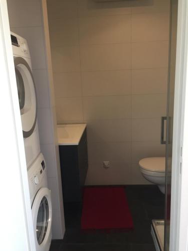 une petite salle de bains avec un lave-linge et des toilettes. dans l'établissement Villa Séré de Rivières, au-dessus d'un fort, face aux Montagnes du Jura, à Fontain