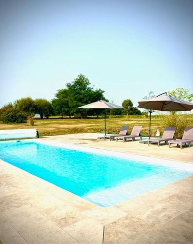 - une piscine avec 2 chaises longues et des parasols dans l'établissement Les Lavandes, à Eymet
