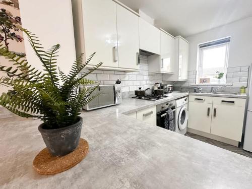 a kitchen with a potted plant sitting on a counter at Poppy House by Blue Skies Stays in Stockton-on-Tees