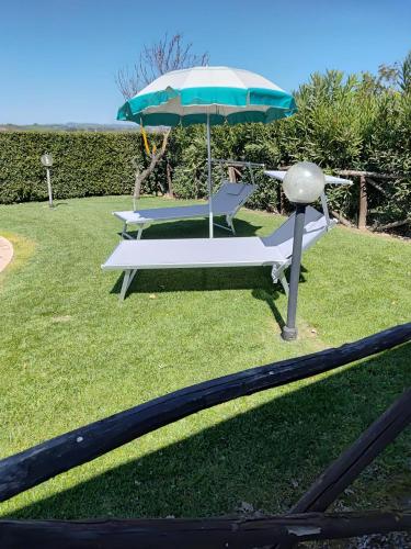 Κήπος έξω από το Casale Fattoria Benaris