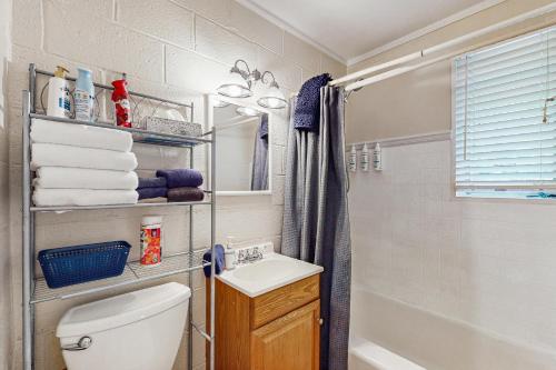 un bagno con wc, lavandino e doccia di Lake Chatuge Cottage a Hiawassee