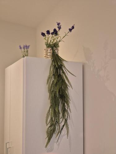 a vase filled with flowers on a wall at Huis ALNA 6 in Mechelen