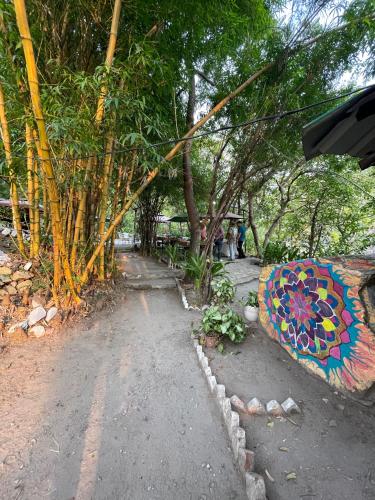Κήπος έξω από το Tarang Yoga Ashram