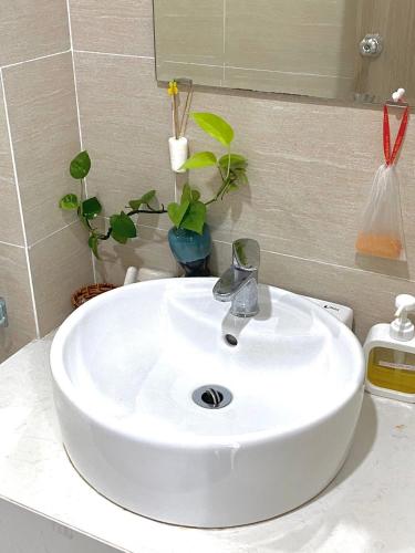 a white sink in a bathroom with potted plants at Nothingness House in Thôn Văn Dương