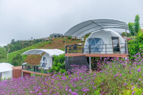 Zahrada ubytování The View Homestay Monjam เดอะวิว โฮมสเตย์ม่อนแจ่ม