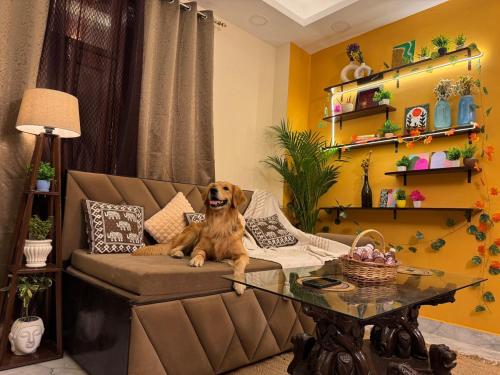 Boho Vibes Spacious Private Cozy space in Delhiにあるシーティングエリア