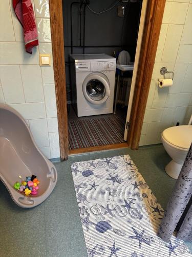 a bathroom with a washing machine and a toilet at Trehornahult Lillstugan in Burseryd