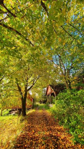 a path with trees and a barn in the background at Trehornahult Lillstugan in Burseryd