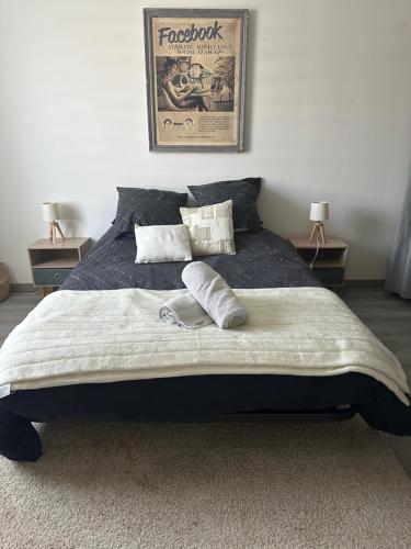 un lit avec deux oreillers dessus dans une chambre dans l'établissement Epinal Port de plaisance Triplex 80 m2, à Épinal