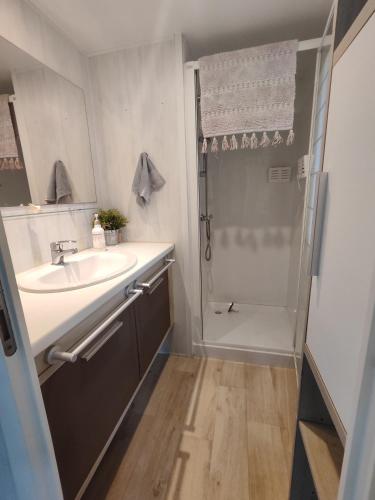 une salle de bain avec un lavabo et une douche dans l'établissement Agréable mobil home 4 personnes, à Saint-Aygulf