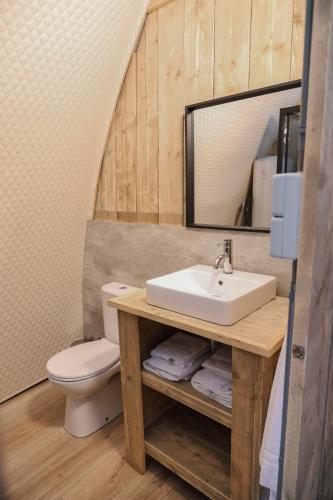 a bathroom with a sink and a toilet and a mirror at Big Oak in Hoogersmilde