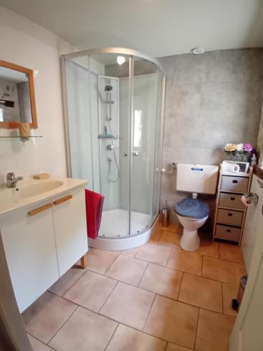 Koupelna v ubytování Gîte Avec Piscine Sainte Anne