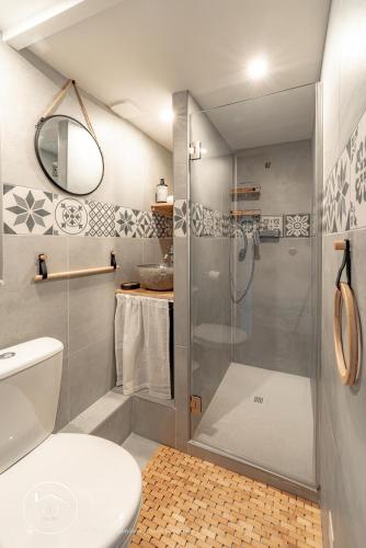 une salle de bain avec douche et toilettes dans l'établissement Les Arcades WiFi Historic Center, à Chambéry