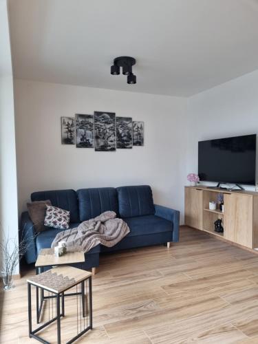 ein Wohnzimmer mit einer blauen Couch und einem Fernseher in der Unterkunft Szczyrkowska Ostoja in Szczyrk
