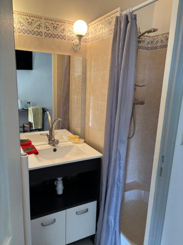 une salle de bain avec un lavabo et une douche dans l'établissement Petite chambre indépendante, parking, à Gevrey-Chambertin