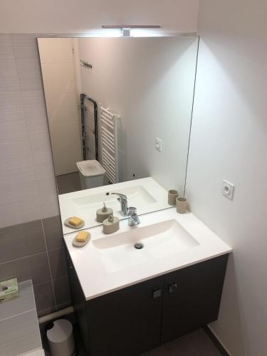 une salle de bain avec un lavabo et un grand miroir dans l'établissement Appartement T3 65 m2 2 chambres terrasse, à Aix-les-Bains