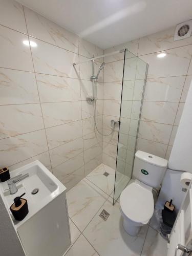 a bathroom with a shower and a toilet and a sink at Cabana NEST in Bistricioara