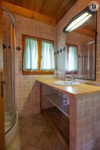 une salle de bain avec un lavabo et une douche dans l'établissement La Gelinotte - Jarrier, à Jarrier