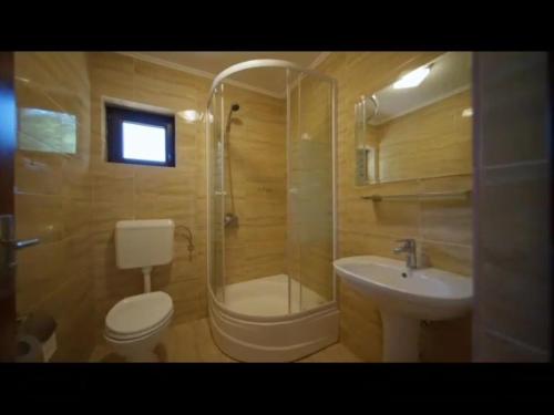 a bathroom with a shower and a toilet and a sink at Vila Green & White in Moieciu de Sus