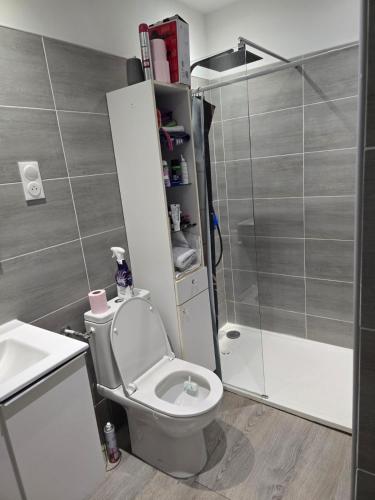 une petite salle de bain avec toilettes et douche dans l'établissement Appartement Village, à Santo-Pietro-di-Venaco