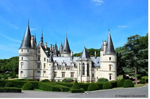 an old castle with a bunch of turrets at Butterfly Cottage in Pouilly-sur-Loire