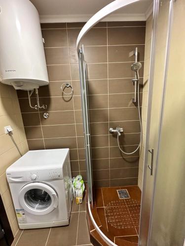 a shower stall with a washing machine in a bathroom at Apartment Sea Point in Bečići