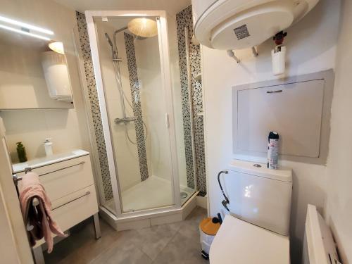 une salle de bain avec une douche, des toilettes et un lavabo dans l'établissement Vacances aux Sablettes - à 500 m de la plage, à La Seyne-sur-Mer