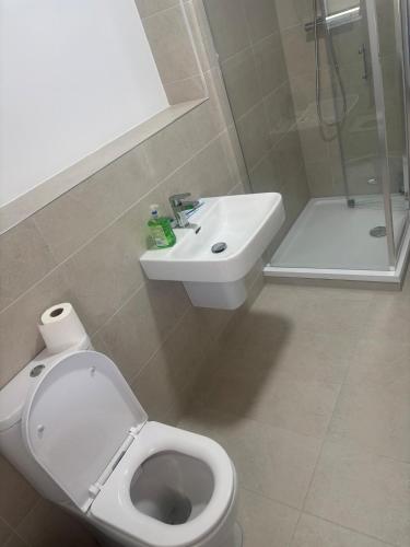 Bilik mandi di Cozy One-Bedroom