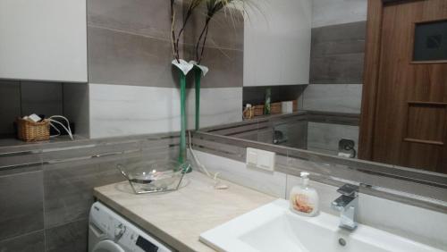 ein Badezimmer mit einem Waschbecken und einer Vase mit einer Pflanze in der Unterkunft Apartament Wiatraczna in Warschau