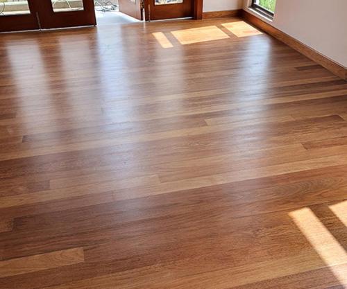 Imagen de la galería de Luxury AC Apartment Studio in Center of Jabalpur, en Jabalpur