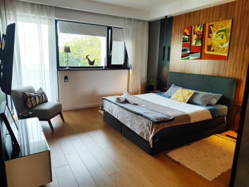 a bedroom with a bed and a chair and a window at Visit Poznan in Dąbrówka